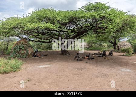 Hadzabe Stamm, Lager, unter Rotdornakazien, Jäger und Sammler, Tansania Stockfoto