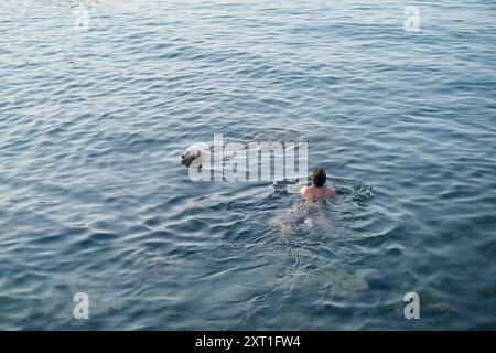 Zwei Personen schwimmen friedlich in einem ruhigen, weitläufigen Gewässer unter klarem Himmel. Bola02484 Copyright: XConnectxImagesx Stockfoto