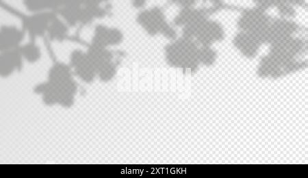 Abstrakter Hintergrund für die Produktpräsentation. Tageslicht. Die Sonnenstrahlen an der Wand strahlen. Verschwommene Schatten von Blättern und Pflanzen im Stock Vektor