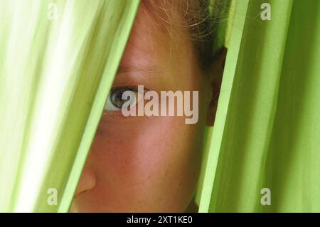 Das menschliche Auge, das Sinnesorgan für das visuelle Wahrnehmungsauge, das Organ für die visuelle Wahrnehmung Stockfoto