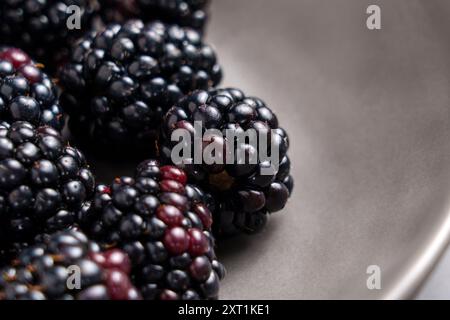 Schwarze Brombeeren in grauer Keramikplatte. Frische saftige Brombeeren aus biologischem Anbau. Gesunde Zutat. Makro Stockfoto