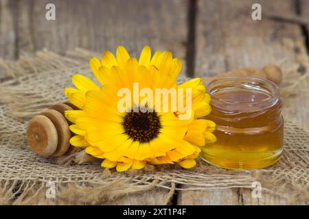 Honig und Ringelblume auf hölzernem Hintergrund Stockfoto