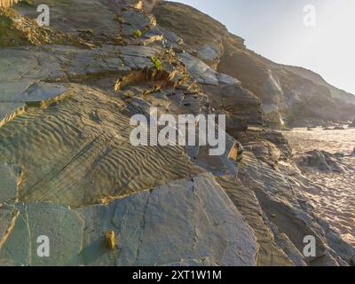 Fossilienspuren sichtbar in einer Schicht aus abgeschiedenem Gestein. Strand Nossa Senhora, Zambujeira do Mar, Odemira, Portugal Stockfoto