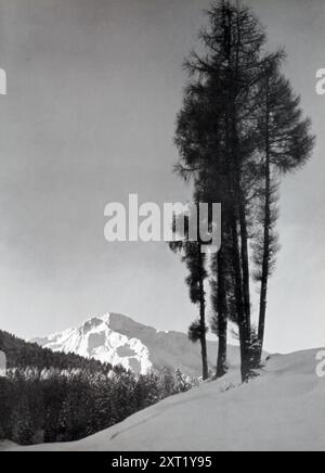 Das Foto zeigt die schneebedeckten Berge und Bäume der Tiroler Alpen. Im Westen Österreichs gelegen, wurde das Tiroler Gebiet nach dem Anschluss 1938 in das NS-Deutschland eingegliedert. Dieses Bild diente wahrscheinlich als Propaganda, zeigte die natürliche Schönheit des erweiterten Dritten Reiches und förderte die idyllischen Landschaften, die während des Zweiten Weltkriegs Teil seines Territoriums waren Stockfoto