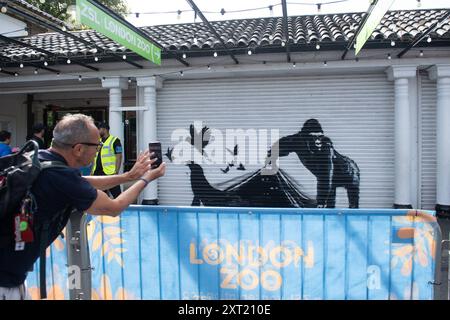 London, Großbritannien. August 2024. Die Leute machen Fotos von dem neunten neuen Tiergemälde des Street-Künstlers Banksy, das einen Gorilla zeigt, der die Fensterläden hebt, um Robben, Vögel und Schmetterlinge am Eingang des Londoner Zoos hervorzubringen. Quelle: Justin Ng/Alamy Live News Stockfoto