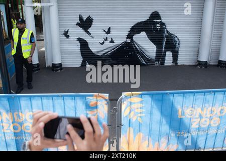 London, Großbritannien. August 2024. Die Leute machen Fotos von dem neunten neuen Tiergemälde des Street-Künstlers Banksy, das einen Gorilla zeigt, der die Fensterläden hebt, um Robben, Vögel und Schmetterlinge am Eingang des Londoner Zoos hervorzubringen. Quelle: Justin Ng/Alamy Live News Stockfoto