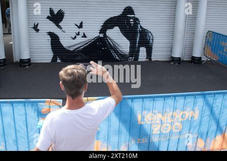 London, Großbritannien. August 2024. Die Leute machen Fotos von dem neunten neuen Tiergemälde des Street-Künstlers Banksy, das einen Gorilla zeigt, der die Fensterläden hebt, um Robben, Vögel und Schmetterlinge am Eingang des Londoner Zoos hervorzubringen. Quelle: Justin Ng/Alamy Live News Stockfoto