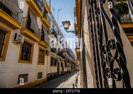 Charmante Straße mit Laterne in der historischen Altstadt (Casco Antiguo) in Sevilla, Spanien Stockfoto