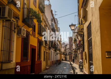 Charming Street, Pasaje Del Marqués de Esquivel (Casco Antiguo), in Sevilla, Spanien Stockfoto