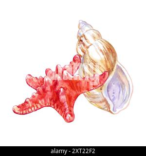 Hülle der Oberfläche und Kreatur unter Wasser Welt. Seesterne, Asterias Rubens, Seestern, Seestern oder Sugar Starfis und Euglandina rosea Stockfoto