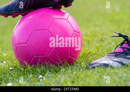 Nahaufnahme eines rosafarbenen Fußballballs auf grünem Gras mit dem Fuß eines Spielers in einem schwarzen Schuh. Panc06296 Copyright: XConnectxImagesx Stockfoto