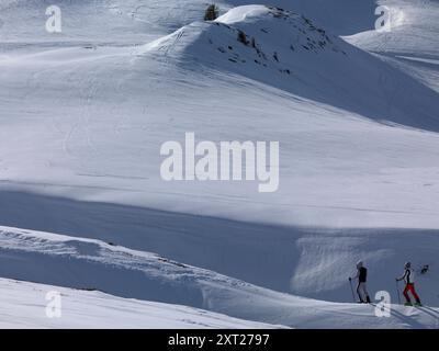 Zwei Skifahrer fahren eine unberührte, schneebedeckte Piste unter klarem Himmel hinab. Hati00023 Copyright: XConnectxImagesx Stockfoto