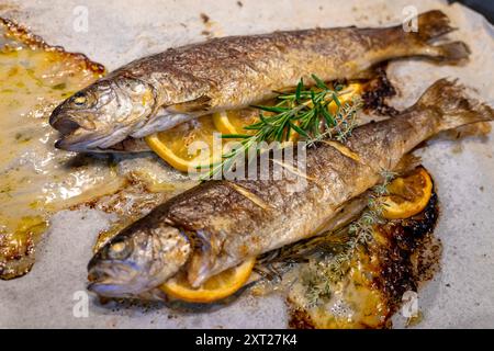 Fischforelle gebacken mit Zitronenbutter und Rosmarin Stockfoto