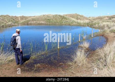 Dune Slack im Ainsdale Dunes Nature Reserve, Großbritannien Stockfoto