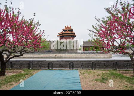 Nordwestlicher Turm der Verbotenen Stadt (Palastmuseum) im Frühling in Peking, Hauptstadt Chinas am 19. April 2024 Stockfoto