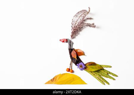 Farbenfrohe Feenfiguren aus Blättern und Blumen, herbstliches Handwerk, diy-Ideen, Zepterie, farbenfroher Pfau Stockfoto