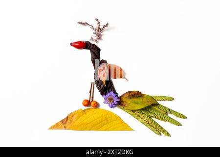 Farbenfrohe Feenfiguren aus Blättern und Blumen, herbstliches Handwerk, diy-Ideen, Zepterie, farbenfroher Pfau Stockfoto