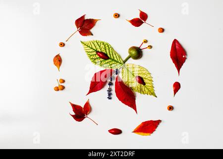 Farbenfroher Schmetterling aus lebendigen Blättern, Kreativität, Herbststimmung, bastelarbeit, Stockfoto