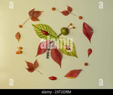 Farbenfroher Schmetterling aus lebendigen Blättern, Kreativität, Herbststimmung, bastelarbeit, Stockfoto