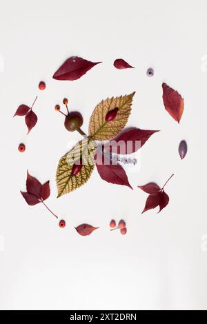 Farbenfroher Schmetterling aus lebendigen Blättern, Kreativität, Herbststimmung, bastelarbeit, Stockfoto