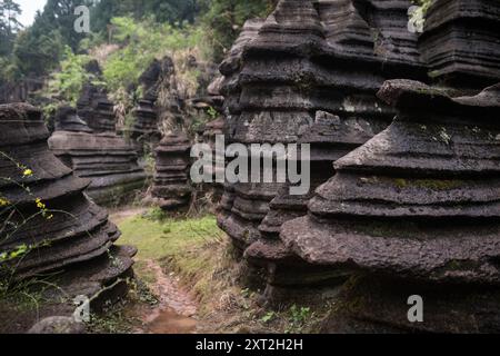 Schmaler Steinweg, der sich durch Felsformationen schlängelt, die in einer natürlichen abgeschiedenen Umgebung nach oben führen Stockfoto