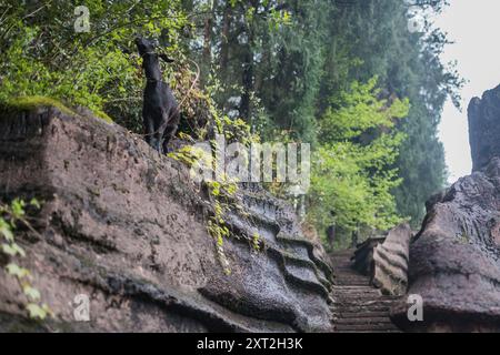 Schmaler Steinweg, der sich durch Felsformationen schlängelt, die in einer natürlichen abgeschiedenen Umgebung nach oben führen Stockfoto