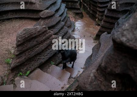 Schmaler Steinweg, der sich durch Felsformationen schlängelt, die in einer natürlichen abgeschiedenen Umgebung nach oben führen Stockfoto