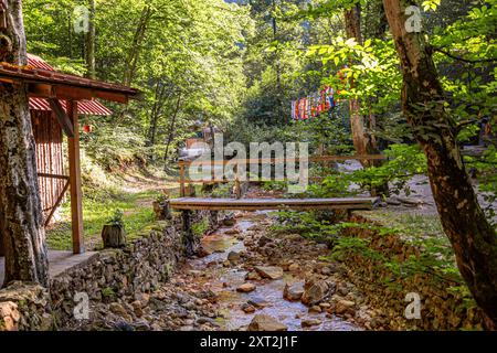 SERBIEN : DAVOLJA VAROS ( Teufelsstadt Kursumlija ) Stockfoto