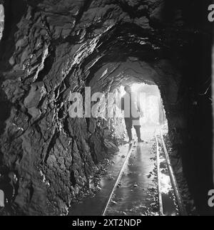 Aktuell 11-1951: Wandern unter den Straßen. In Oslos Abwassersystem. Foto: Arne Kjus / aktuell / NTB ***Foto ist nicht bildverarbeitet*** dieser Bildtext wird automatisch übersetzt dieser Bildtext wird automatisch übersetzt Stockfoto