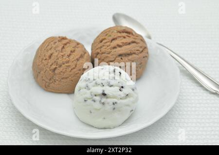 Eis auf einem weißen Teller, Nahaufnahme, isoliert auf weißem Hintergrund Stockfoto