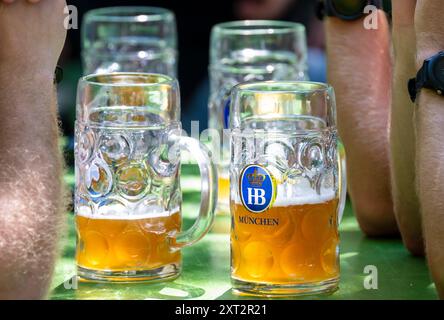 München, Deutschland. August 2024. Besucher eines Biergartens genießen mittags ein kühles Bier. Quelle: Peter Kneffel/dpa/Alamy Live News Stockfoto