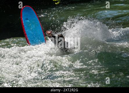 München, Deutschland. August 2024. Surfer erfrischen sich im Eisbach im Englischen Garten. Quelle: Peter Kneffel/dpa/Alamy Live News Stockfoto