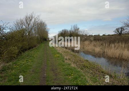 Stillgelegter Abschnitt des Lancaster Canal bei Burton in Kendal Westmorland und Furness, ehemals Cumbria England Stockfoto