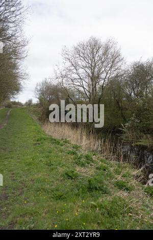 Stillgelegter Abschnitt des Lancaster Canal bei Burton in Kendal Westmorland und Furness, ehemals Cumbria England Stockfoto