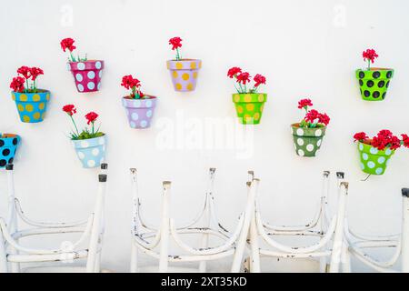 Niedliche Blumen in bunten Töpfen hängen an der weißen Wand in Costa Teguise, Lanzarote, Kanarischen Inseln, Spanien Stockfoto