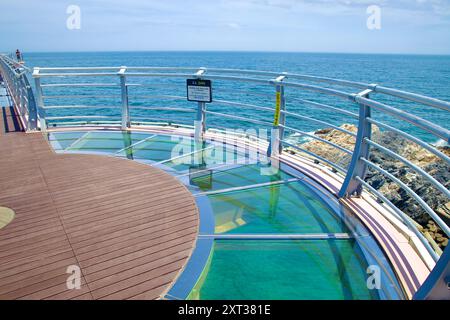 Uljin County, Südkorea - 27. Juli 2024: Der Deunggi Mountain Skywalk mit Glasboden erstreckt sich über die Ostsee und bietet Besuchern eine aufregende Aussicht Stockfoto