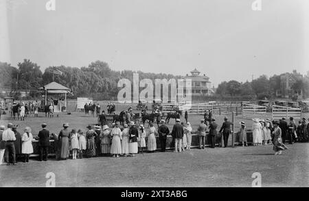 Long Branch, 1918, Ponys verurteilen, 1918. Zeigt die 25. Jährliche Ausstellung der Monmouth County Horse Show Association im Hollywood Park, Long Branch, New Jersey, die am 25. Juli 1918 begann. Stockfoto