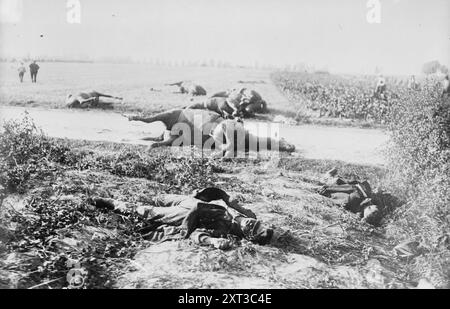 Ecke Schlachtfeld, Haelen, 1914. Zeigt tote Soldaten und Pferde auf einem Feld nach der Schlacht von Haelen, die am 12. August 1914 von den deutschen und belgischen Armeen in der Nähe von Haelen (Belgien) während des Ersten Weltkriegs geführt wurde Stockfoto