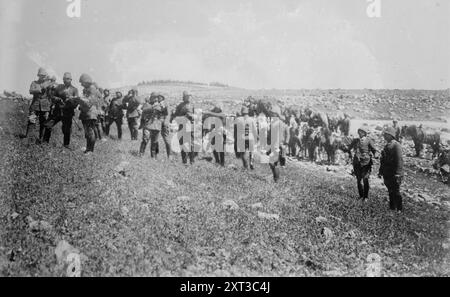 Djemal Pach [d. h. Pascha] mit Trommer Pacha &amp; Stab, zwischen 1914 und 1915. Zeigt den osmanischen türkischen Führer Cemal Pascha (1872–1922) mit dem deutschen Militäroffizier Bruno von Trommer Pascha und Stab, möglicherweise in Gallipoli, Türkei während des Ersten Weltkriegs Stockfoto