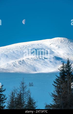 Eine ruhige Winterszene in der Schweiz mit einem frischen Mondaufgang über einem schneebedeckten Berg, umgeben von schattigen Nadelbäumen unter tiefblauem Himmel Stockfoto