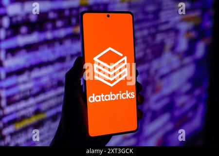 Paraguay. August 2024. In dieser Abbildung wird das Databricks-Logo auf einem Smartphone-Bildschirm angezeigt. (Foto von Jaque Silva/SOPA Images/SIPA USA) *** ausschließlich für redaktionelle Nachrichten *** Credit: SIPA USA/Alamy Live News Stockfoto