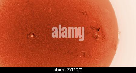 Sonnenflecken auf der Sonnenoberfläche am 13. August 2024. Das Bild wird mit dem Hydrogen Alpha-Wellenband-Solarfilter aufgenommen, um magnetische Oberflächenfelder und -Filamente klar darzustellen und detaillierte Ansichten von zwei großen Sonnenfleckengruppen zu erhalten. Kredit: Malcolm Park/Alamy Stockfoto