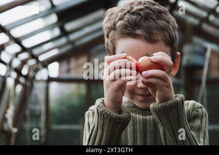 Ein kleiner Junge in einem gemütlichen Pullover hält zwei reife Tomaten an die Augen und steht in einem hellen Gewächshaus, umgeben von Pflanzen Stockfoto