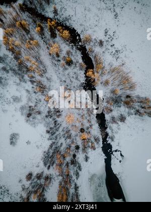 Atemberaubendes Luftbild, das einen sich schlängelnden Fluss durch eine verschneite Waldlandschaft mit goldenen Baumkronen in Lappland einfängt. Stockfoto