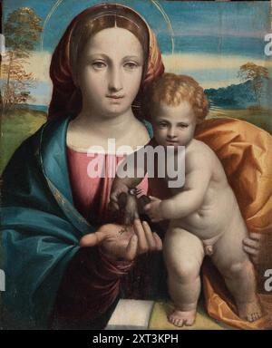 Madonna und Kind mit einem kleinen Vogel, 1517. Gefunden in der Sammlung der Galleria Borghese, Rom. Stockfoto