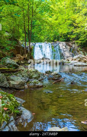 Der Paint Creek lässt Kelley Falls entstehen und fließt weiter in einem felsigen Flussbett in den Bergen im Nordosten von Tennessee. Stockfoto