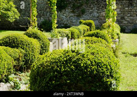 Ordentlich geschnittene Buchshecke (Buxus sempervirens) grenzt an einen Gartenweg - John Gollop Stockfoto