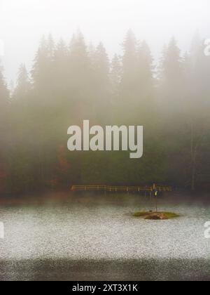 Wald am See. nebliges Morgenwetter im Herbst. pier am Ufer Stockfoto