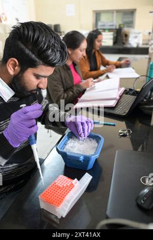 INDIEN, Ludhiana, PAU Punjab Agricultural University, Abteilung Biotechnologie, Labor / INDIEN, Ludhiana, Punjab landwirtschaftliche Universität, Abteilung Biotechnologie, Arbeit Stockfoto