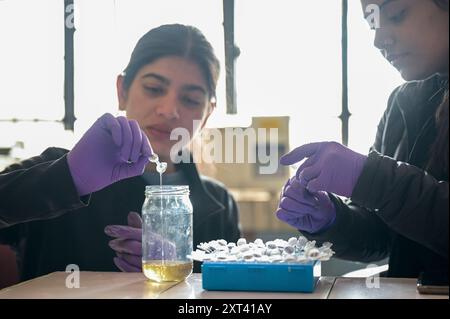 INDIEN, Ludhiana, PAU Punjab Agricultural University, Abteilung Biotechnologie, Labor / INDIEN, Ludhiana, Punjab landwirtschaftliche Universität, Abteilung Biotechnologie, Arbeit Stockfoto